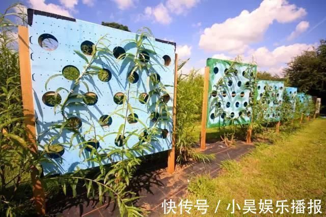 家具|头一次见这样子的家具,全身上下没有一颗螺丝,生产一把要10年