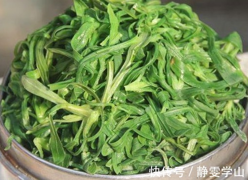 槐花槐花|农村以下几种野菜要多吃，营养价值是马齿苋的5倍，不妨一试