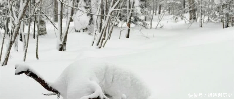 白居易很有趣的一首咏雪诗，看到皑皑白雪，引发了他对人生的思考