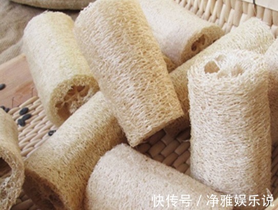 珍宝|农村常用的“洗碗布”,功效却堪比冬虫夏草,被中医视为珍宝