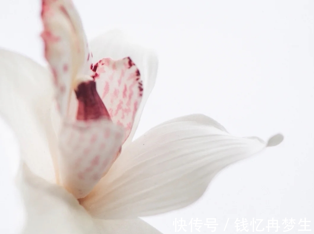 曾国藩&《道德经》有格局的人,守其雌,守其黑,守其辱,反而,有大作为