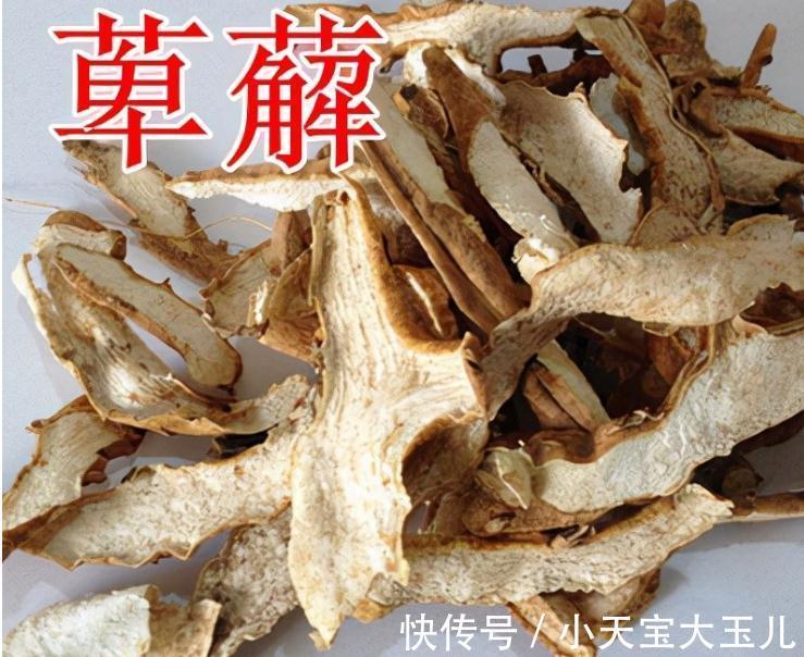 中药调理助力生活焕发新生机