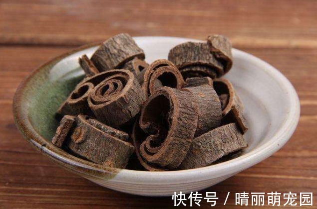 浙貝|痰來如山倒！最實用的“除痰方”，橫掃濕痰、熱痰，今天送給你