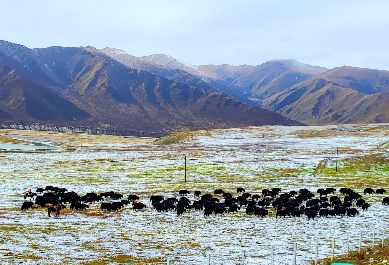 中年|德马高速，目击多元地貌多样风情