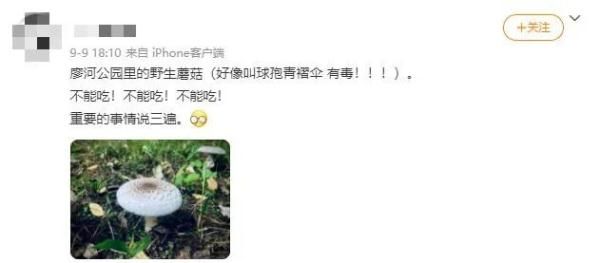 抢救|重庆夫妇吃了小贩卖的菌子后，被送进抢救室！这种菌，云南也有…