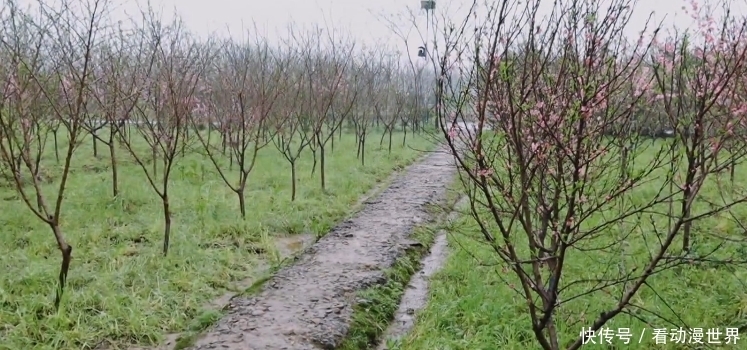 向往的生活:嘉宾们惬意干净的农村生活,还有你没看到的另一面