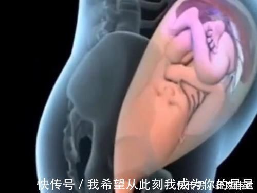 泪奔|顺产的全过程到底是怎样的,生而为人需了解,请勿泪奔