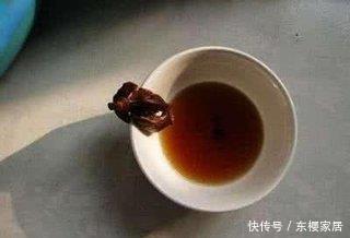 到底|这么多的养花技巧,到底哪个能用