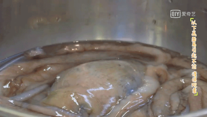 许魏洲做料理随心所欲,引乔欣“控诉”,画面太好笑