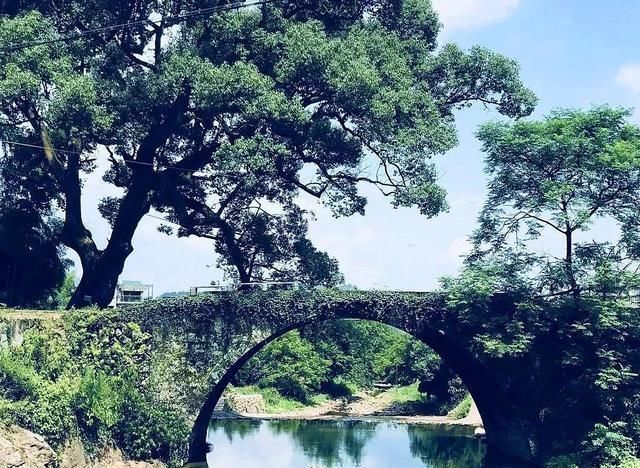 山间|此生必走一次缠绕浙闽山间的千年古道,真正的好山好水,遗世独立