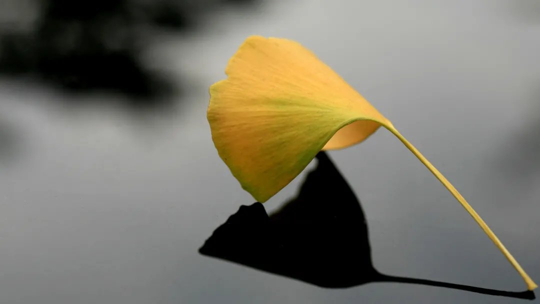 王维！诗词丨十月，愿时光放慢，许故人不散