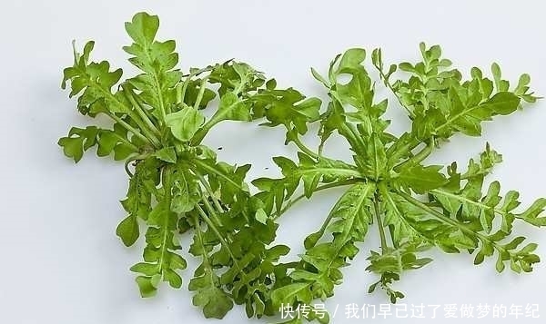 景天三七|常見的野菜都有多種功效,對癥吃才不浪費