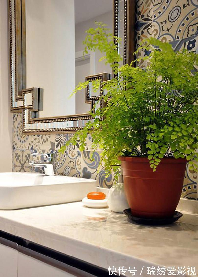 厕所再小,也要养盆吸味花,清除臭味、异味效果好