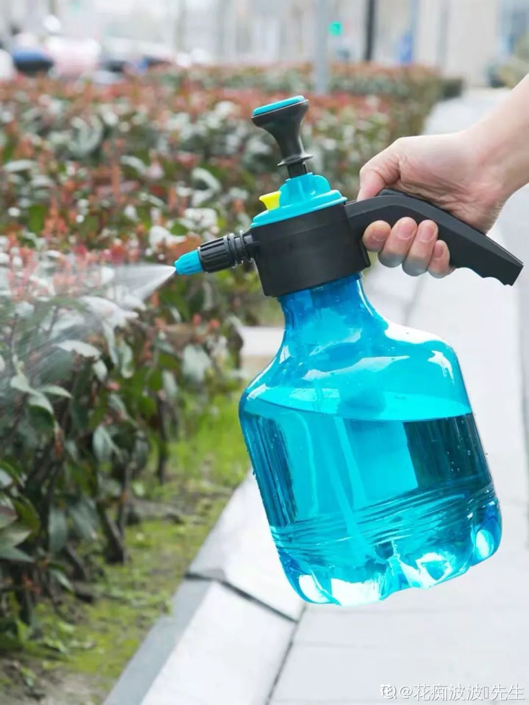 自制养花杀菌水,7天浇一勺,虫子全死光,再也不黄叶!