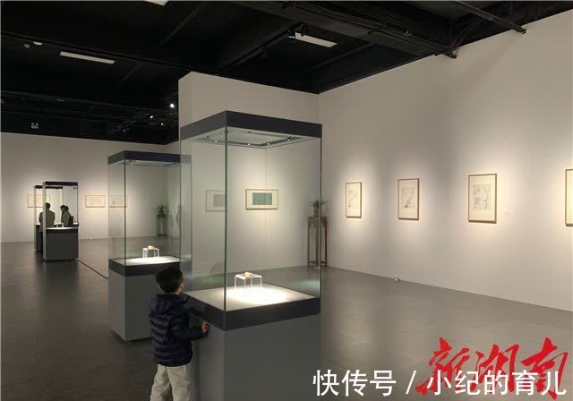 湖南省$品味兰花之美，《初无意——刘小平作品展》开幕