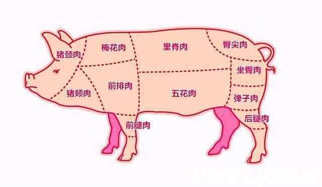 猪身上最好吃的肉,能说出名字的都是行家,摊主:我都留着自己吃