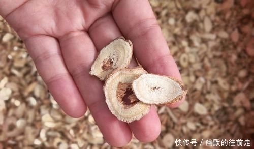 黄金搭档|黄芪的“黄金搭档”,每天坚持泡水喝,排出毒素、肝也净了