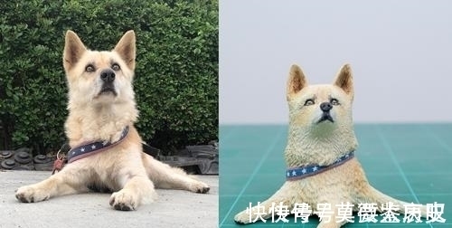 小猫|全球的猫都想屏蔽这个日本人,他到底做了多少沙雕手办?