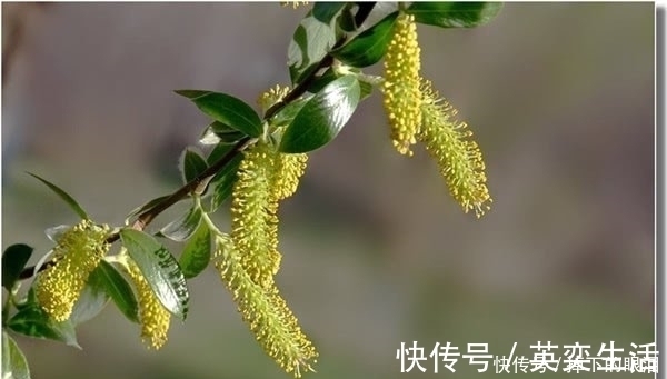 知识|刘禹锡鲜为人知的7首诗，能读过三首就算知识渊博了！