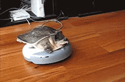 |内涵段子:如果不是为了你,我怎么舍得我老公去工地!