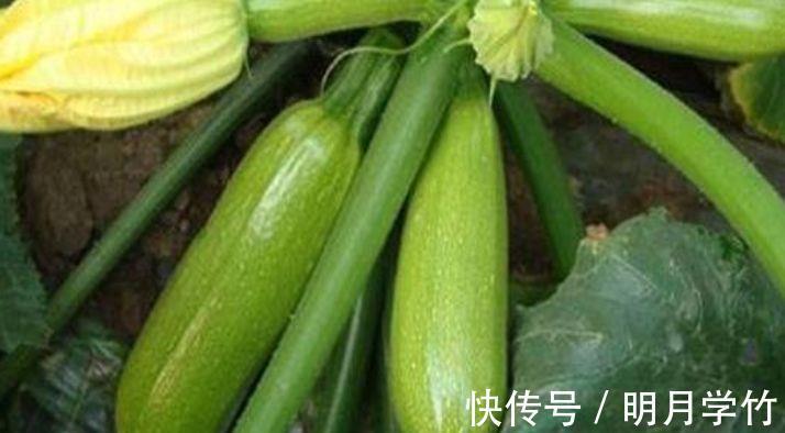 润肤|女性不想老太快,常吃3种此果,补分润肤,脸色越来越红润!