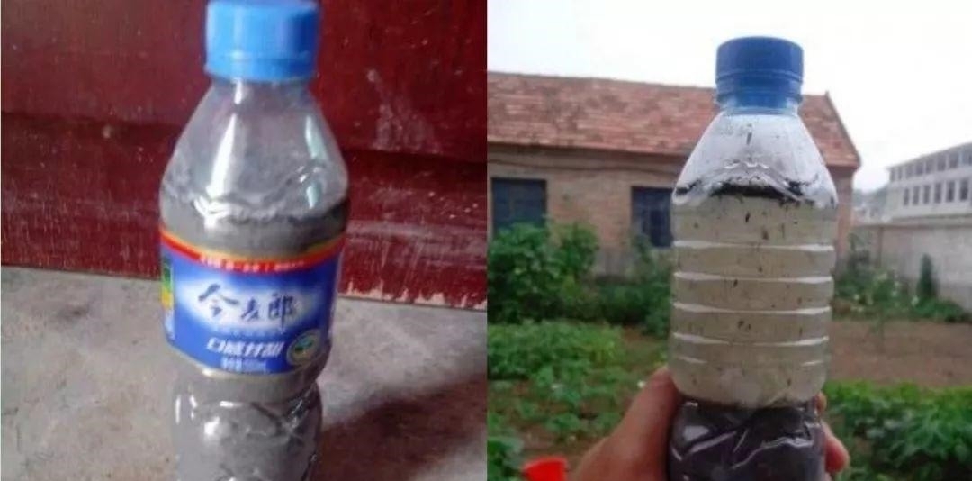 养花|自制养花杀菌水,7天浇一勺,花不生虫不烂根