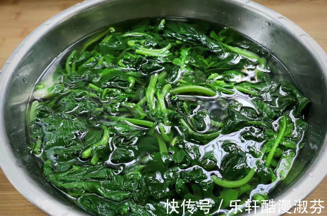 鲜嫩|蔬菜中的“人参”，叶子营养极高，9月正鲜嫩，鲜嫩翠绿特下饭！