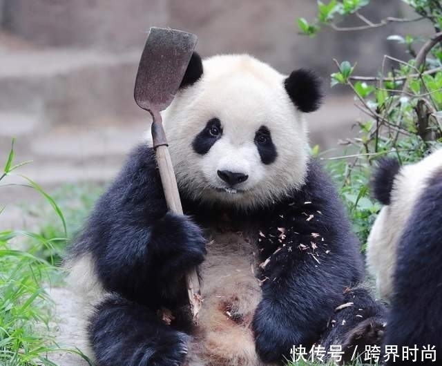 高跟鞋|五个月，腿围从53cm瘦到42cm，纯个人经验+干货分享