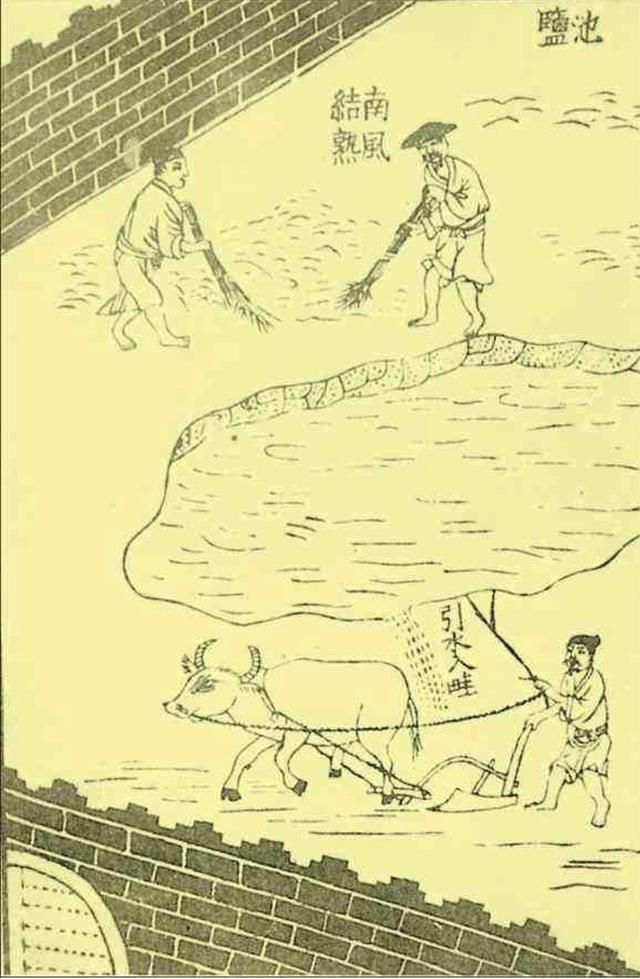 古代的盐巴到底有多重要重要到每个朝代的官府都会进行垄断