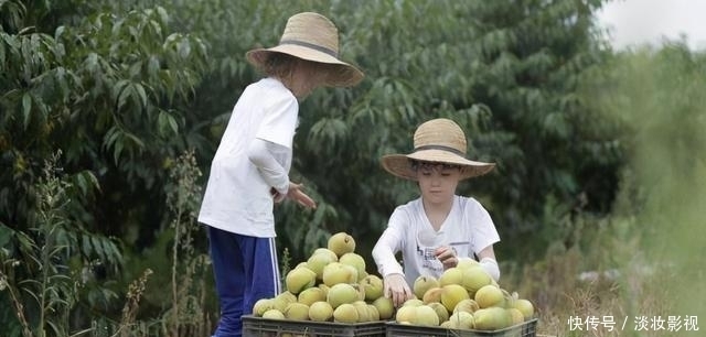 点名|央视点名、收视第一,这档萌娃节目拍得又暖又“虐”