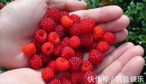 血管垃圾|不想血管被堵死, 这些食物要常吃,清理血管垃圾,降压又降脂