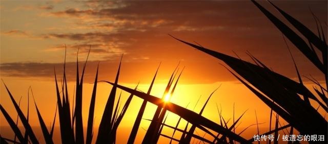 世界文明史吐蕃王朝的衰亡!