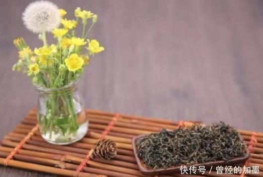  常用蒲公英泡水可治病医生劝告2类人喝了，就是没病找病