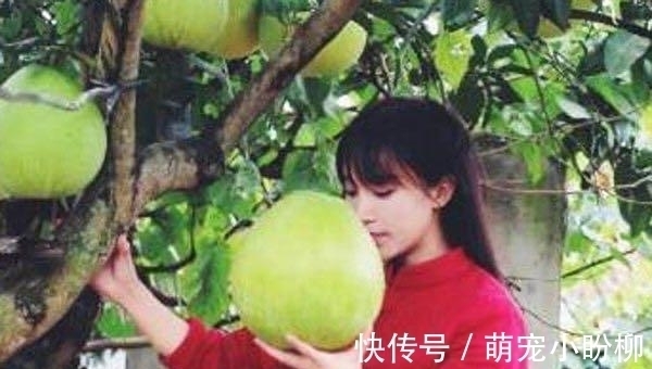 李子柒亲手制作的美食,外国人佩服的五体投地,真正的绿色美食哦