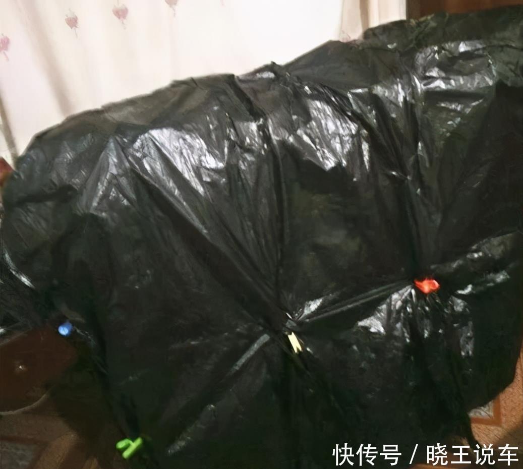 君子兰“夹住了”?3个“五花大绑”法,花箭挺拔,蹭蹭窜满花