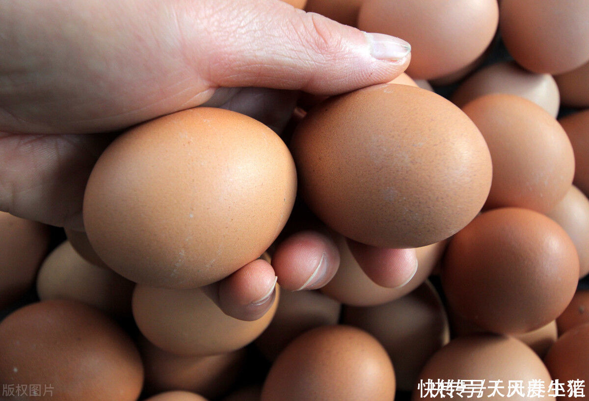 老年人每天吃4種食物,再補3種營養(yǎng)素,不用再為補鈣而發(fā)愁