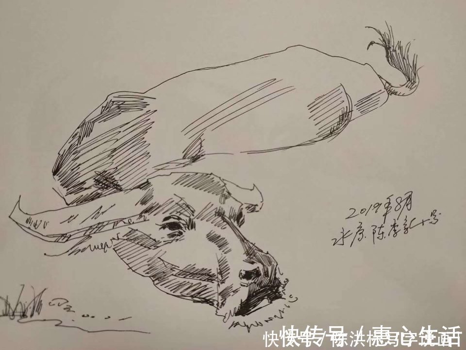 李可染#陈李新画牛，超过李可染等11位名家，是网友不懂艺术还是另有隐情