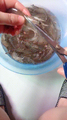 |搞笑GIF:兄弟,你的三蹦子为什么这么优秀?这走位不错啊