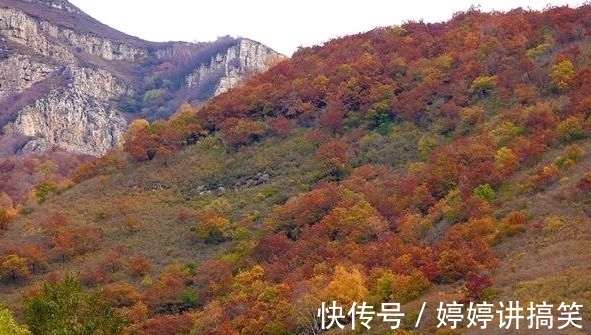 石头|蔚县藏在深山里的美景