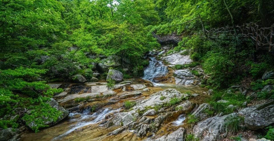 看奇峰怪石都是“三分像，七分想”，大别山腹地的天堂寨恰恰相反