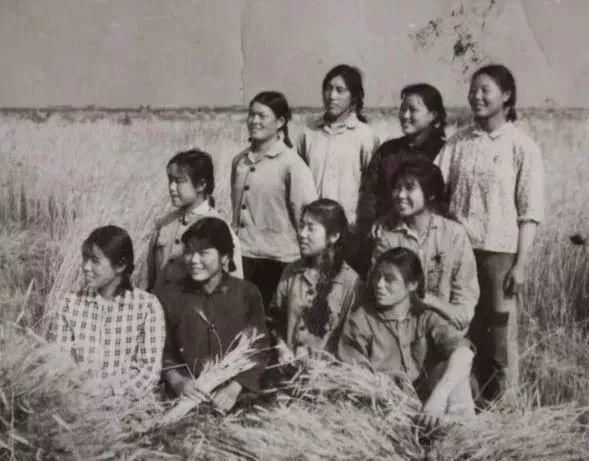 名字$一首知青的诗,轰动整个知青圈,数百万人看哭了