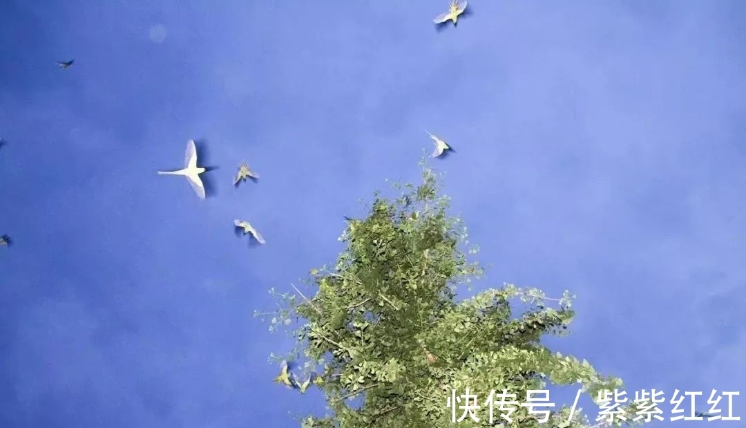 王阳明&哲思|改变人生的,不是大道理,而是小习惯