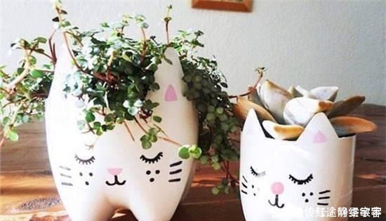 用完的洗衣液瓶千万别扔，它大有妙用！