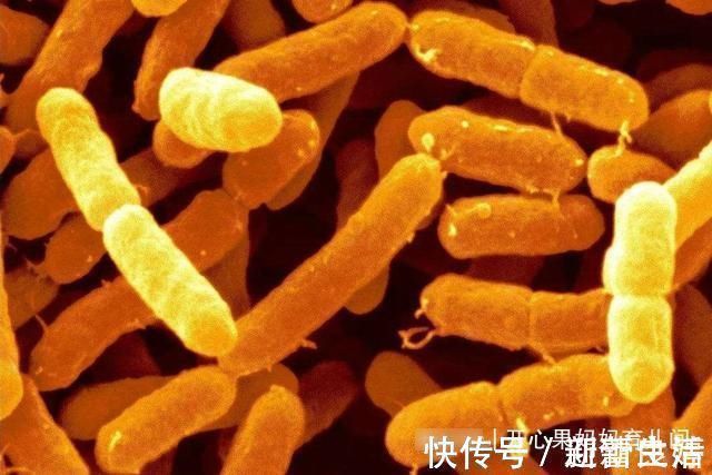 宝宝|还在用温水冲奶粉?错误的温度可能会伤到宝宝,家长们赶紧纠正