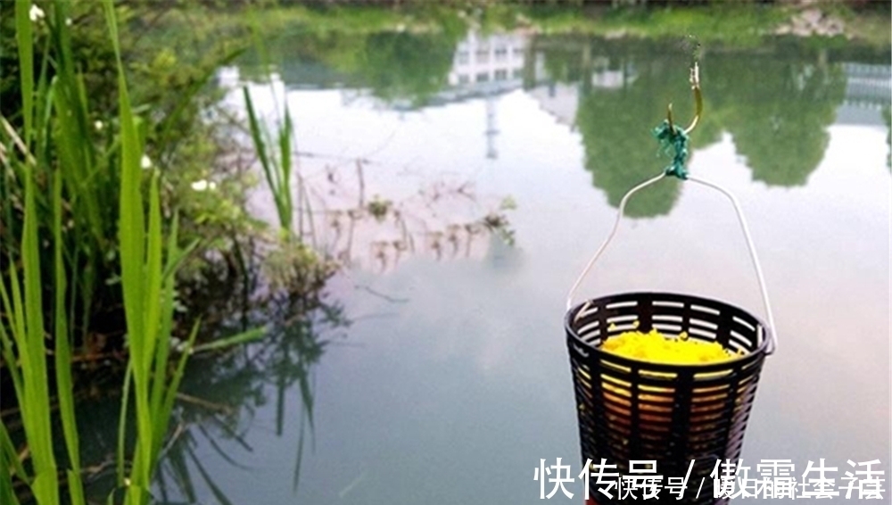 打窝聚鱼不能慢人一步,这样打窝发窝快速,上鱼快人一步!