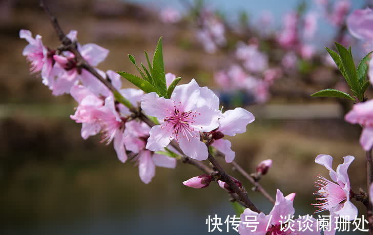 属兔|1月以后，财源广进，日子越过越有劲儿的生肖