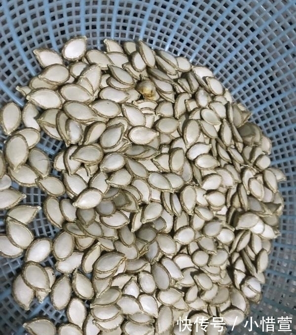 女人|医生:它是“维E颗粒”,女人贫血,手脚冰凉,防衰老要多吃!