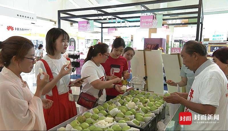 小康圆梦 四川仁寿七旬大爷把 六月雪 卖到全世界 粉紫色