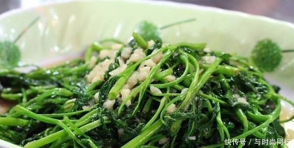 空心菜|这农村野菜去火效果是苦瓜的10倍，还可以清热解毒，你吃过吗？