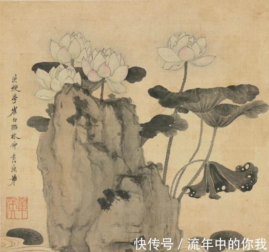 陈老莲$花鸟画|陈老莲画莲,中规中矩,一点不怪异,为什么?